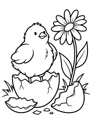 Chick in the shell coloring page