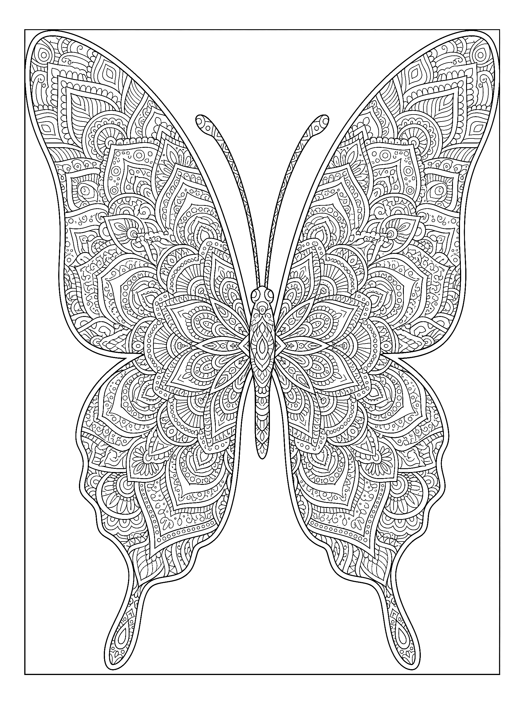 Butterfly mandala coloring page to print
