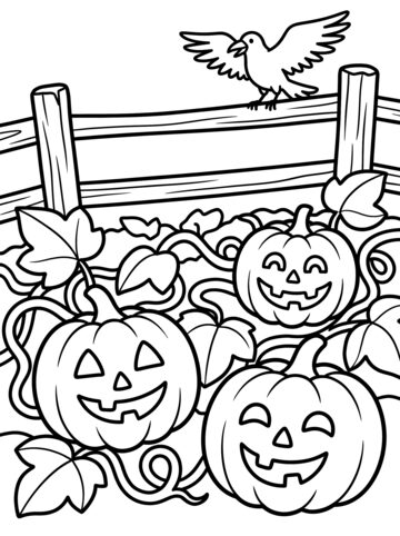 Pumpkin patch coloring page